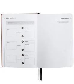 Sked Planner Medium Rose Gold Planner